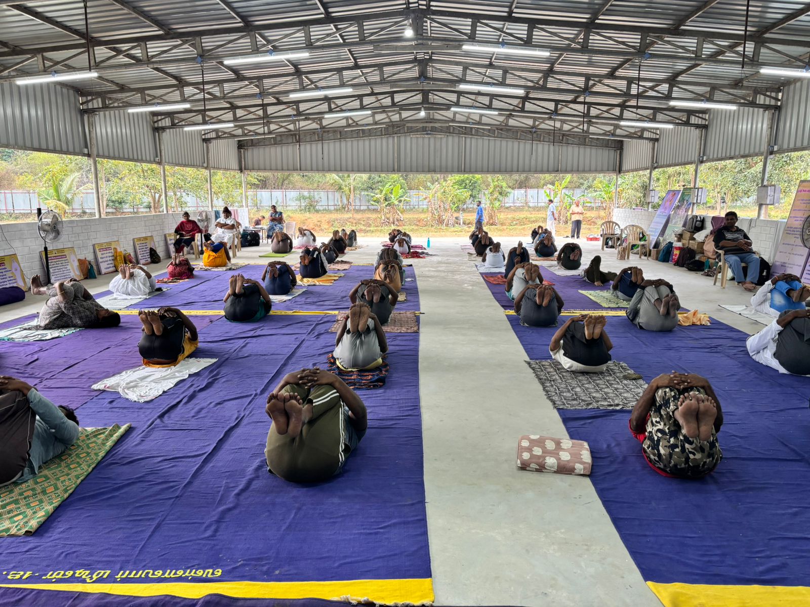 Mass Yoga Program