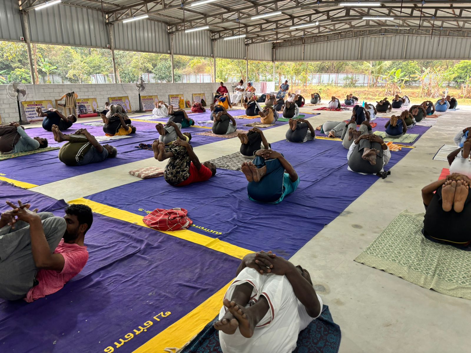 Morning Yoga Sessions